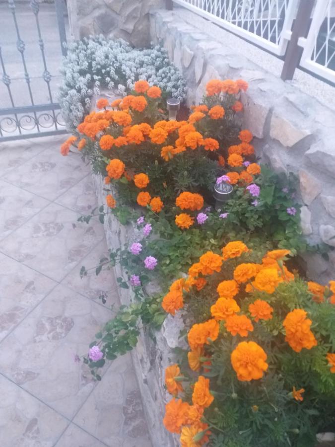 La Vita Apartamento Šibenik Exterior foto